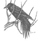 Crow Raven BJH Creations Studio H